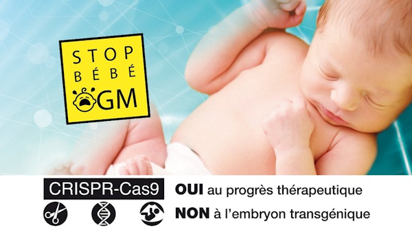 SOTP Bébé OGM - CRISPR-Cas9
